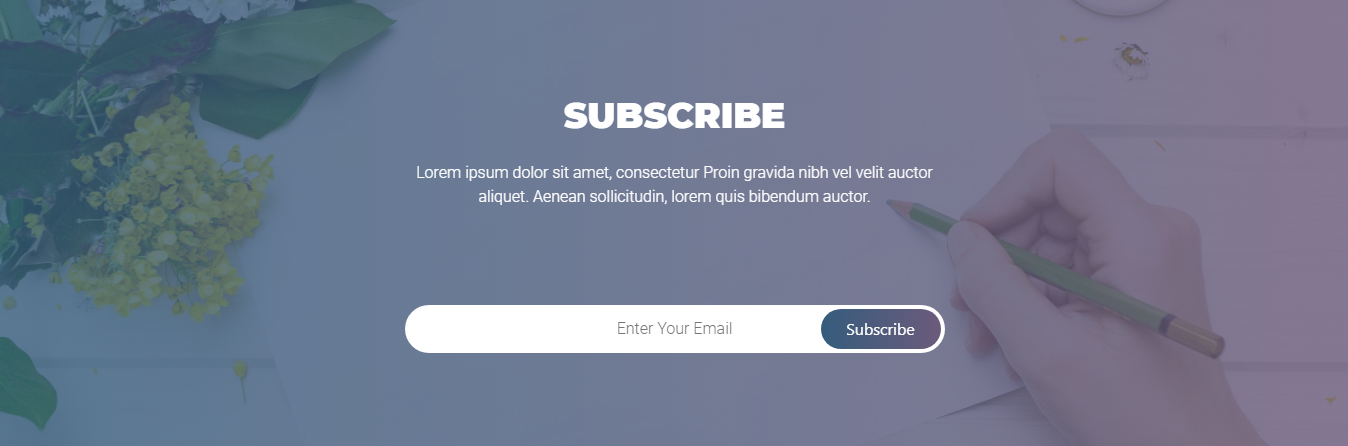 The subscribe section as shipped.