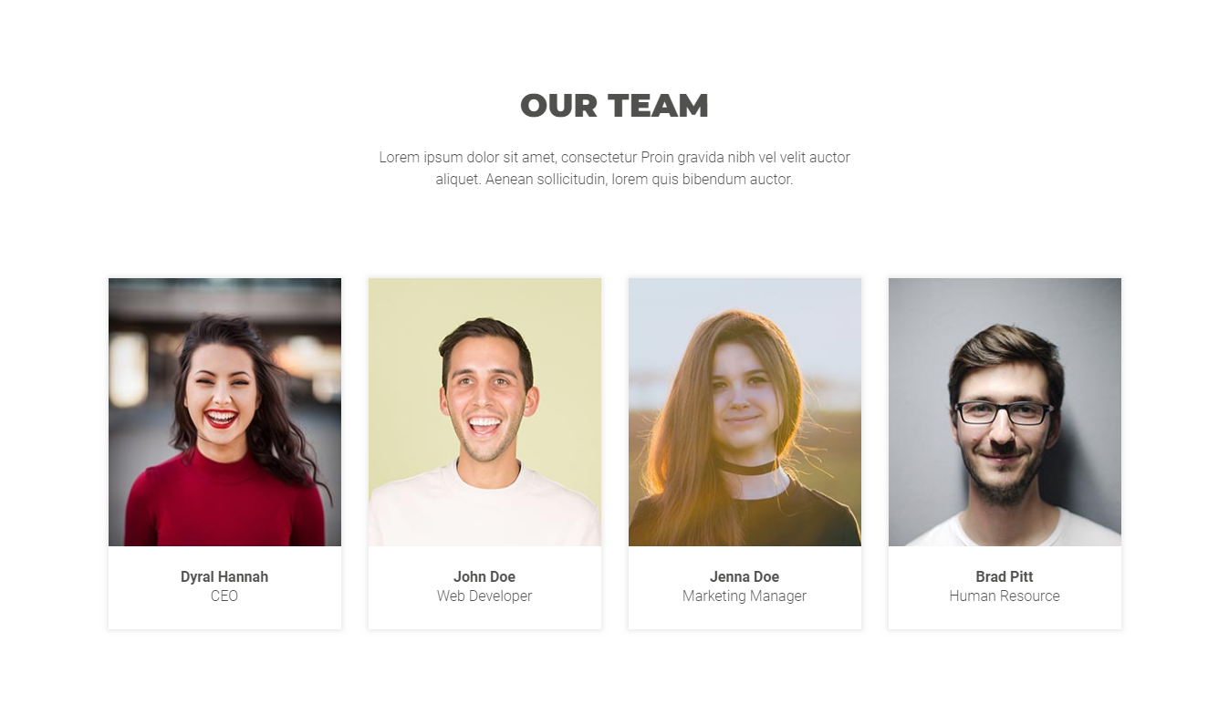 The team section as shipped.